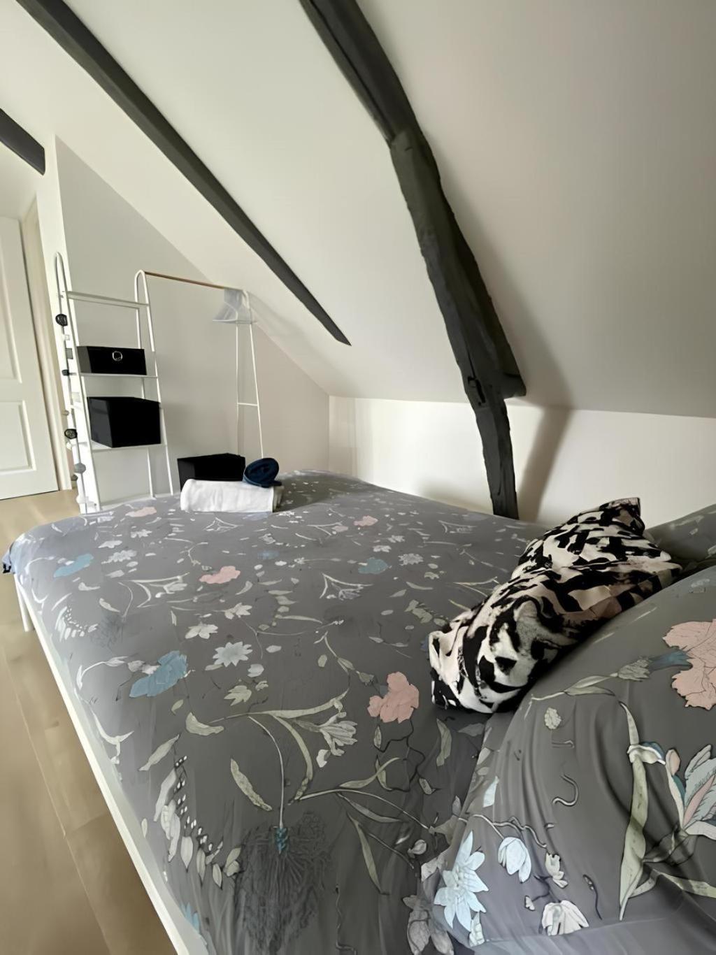 רואן Maison Familiale Avec Exterieur Menage Et Linges Inclus מראה חיצוני תמונה